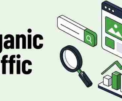 organic traffic service